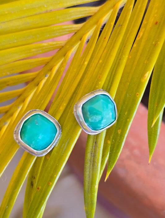 Chrysoprase Studs